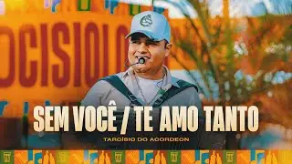 SEM VOCÊ / TE AMO TANTO - Tarcísio do Acordeon (Tarcisiologia)