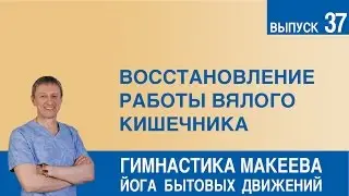 Восстановление работы вялого кишечника