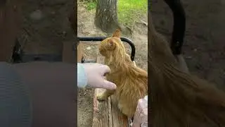 Когда отдал машину в сервис