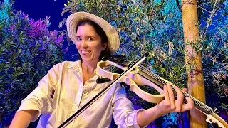 🎻 Violin Live Improvisation to the music of a French Beach Bar 🌊