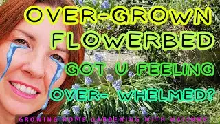 Flowerbed Maintenance Overwhelming You? Take it one step at a time 🕊 Growing Home #gardeningtips