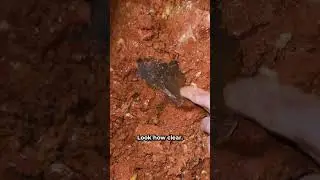 Exciting Surprise While Digging at Night! with 