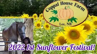 2022 Sunflower Festival @ Coppal House Farm | Summer Festivals | Local Events Lee,NH