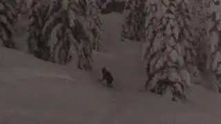 Shadows Powder