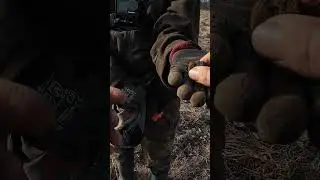 🤪Вот это ЭМОЦИИ от находки !!! #находки #металлоискатель #коп #metaldetector #minelab #deus
