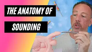 Anatomy of Sounding for Prostate Pleasure w/ Educator John