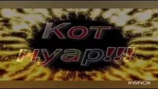 Слайд шоу леди баг и кот нуар.