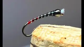 Black N Silver Red Butt (Fall Flash Variant)