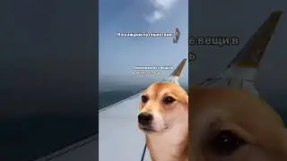 Ставь ❤️- если такой же #путешествия