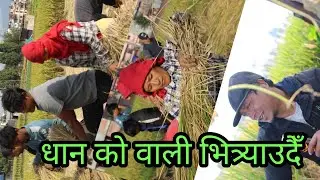 मानाे राेपेर मुरि भित्र्याँउदै भक्तपुर नगदेशमा || Masti Vlog ||