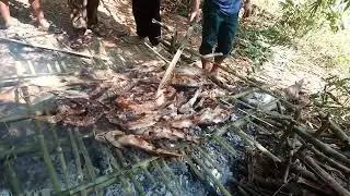 Mus ci ntseg noj