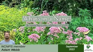 What's in a Name: Understanding species, cultivars and hybrids