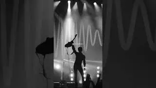 Arctic monkeys 