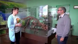 Чебулинский округ
