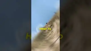 Benefits From Molotov-Ribbentrop Pact