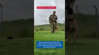 A Day in the Life
