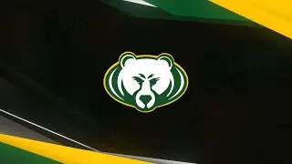 RBHS Stream Overlay