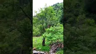 Каракой