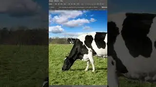 Unlock the Secrets of the Pop Out Effect in Photoshop! #photomanipulation #like #art