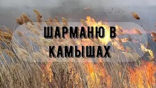 камышово-полевой день на 10460кГц. Испытываю антенну, провожу связи
