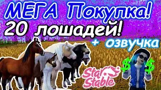 МЕГА Покупка! | 20 Лошадей! | Star Stable