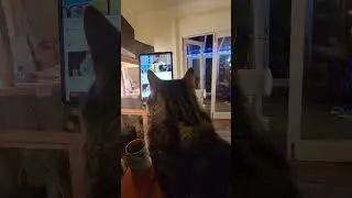 Me and King Kenny Watching the Joseph Carlson Show