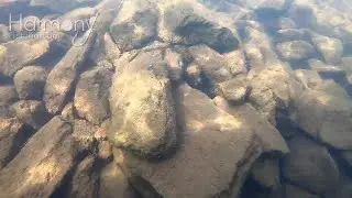 Fishing The Harmony Punch Shot Rig Underwater in Rip Rap and Shallow Cover