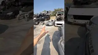 Gtr33 Transformation🔧 