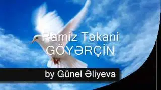 Ramiz Təkani Göyərçin