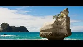 Cathedral Cove HQ