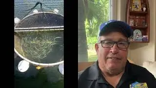 Reporte de Pesca