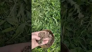 скважина под погружной насос