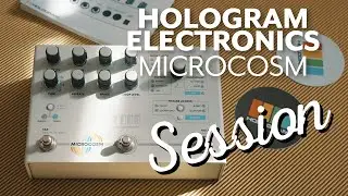 Hologram Electronics Microcosm Granular Looper  and Glitch Pedal
