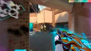 Top 0.1% Headshot Player..