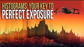 Histograms: Your Key to Perfect Exposure