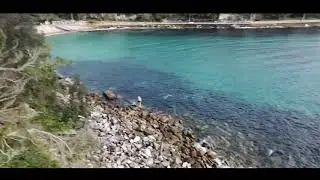 Life at Shelly Beach