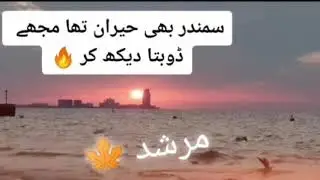 5 tiktok famous shairi