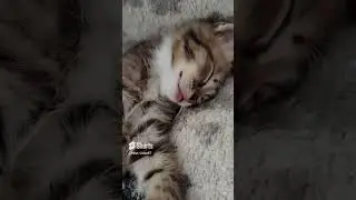 Милаш🥰