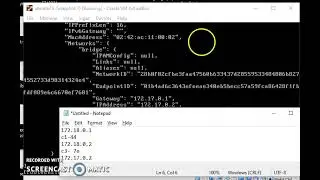 16   Docker Network   custom bridge