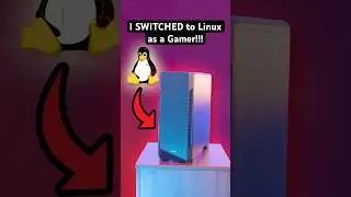 I SWITCHED to Linux as a GAMER!!!