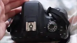 Basic Camera Bag Essentials For Beginners!