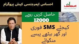 Ehsas emergency cash program SMS service emergency cash