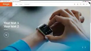 Home page sections :: How to add image and video to revolution slider :: Mogo Shopify Theme
