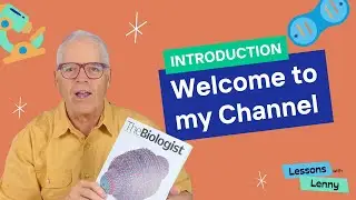 Welcome to Lessons with Lenny
