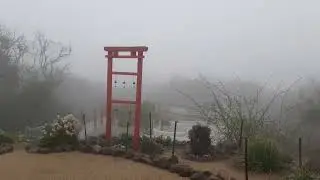 Чили дождь туман июнь 2024