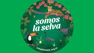 Somos la selva