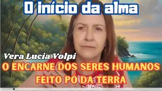 O início da alma do seres humanos-Vera Lucia Volpi-Pix-17997155859