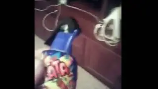 Гавно в пальто