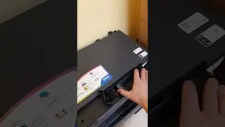 Сравнение epson xp-15000 и epson l18050 для DTF. Подход к старту в ДТФ, советы. Реклама конкурентам.