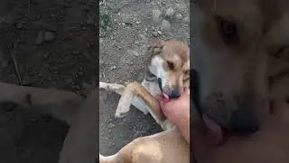 Жуля всегда очень рада моему появлению.